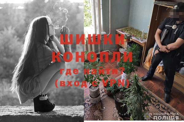 эйфоретик Кодинск