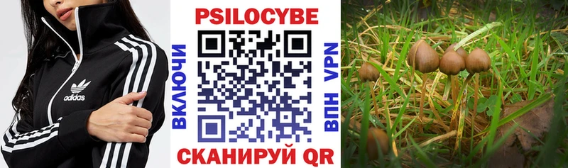 Галлюциногенные грибы Magic Shrooms  Купить где  Бежецк 